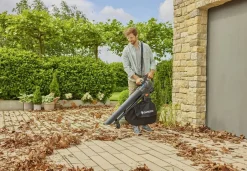 Ecocheques|Gereedschap Op Batterij|ohgreen Accu bladblazer/-zuiger PowerJet Collect