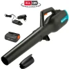 Gereedschap Op Batterij|Ecocheques|ohgreen Accubladblazer PowerJet 18V P4A set