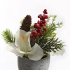 Kerstdecoratie|ohgreen Amaryllis arrangement in pot