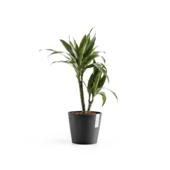 Kunststof|Ecocheques|ohgreen Amsterdam 20cm donkergrijs met waterreservoir