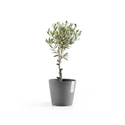 Kunststof|Ecocheques|ohgreen Amsterdam 20cm grijs met waterreservoir