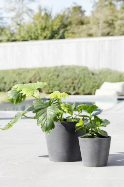 Kunststof|Ecocheques|ohgreen Amsterdam 20cm grijs met waterreservoir