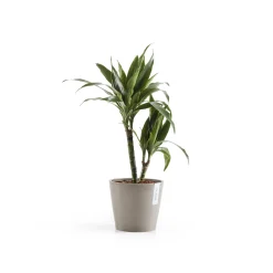 Kunststof|Ecocheques|ohgreen Amsterdam 20cm taupe met waterreservoir