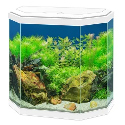 Aquaria|ohgreen Aquarium aqua 30 led