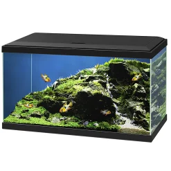 Aquaria|ohgreen Aquarium aqua 60 led bio cf150