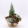 Najaar|Ecocheques|ohgreen Arrangement Gaultheria creatie