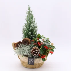 Najaar|Ecocheques|ohgreen Arrangement Gaultheria creatie