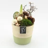 Najaar|Ecocheques|ohgreen Arrangement kerst Amaryllis