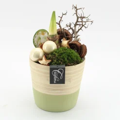 Najaar|Ecocheques|ohgreen Arrangement kerst Amaryllis