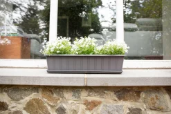 Kunststof|Ecocheques|ohgreen Balkonbak Super 80 cm Antraciet