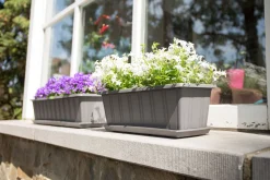 Kunststof|Ecocheques|ohgreen Balkonbak Super 50 cm Antraciet