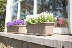 Kunststof|Ecocheques|ohgreen Balkonbak Super 40 cm Taupe