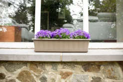 Kunststof|Ecocheques|ohgreen Balkonbak Super 40 cm Taupe