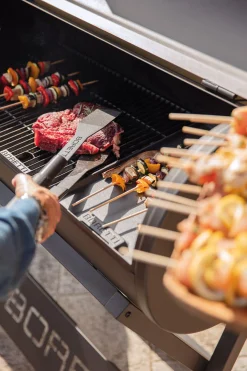 Accessoires En Onderhoud|ohgreen Barbecue grillrooster voor Barilo en Fratello