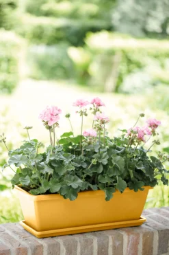 Kunststof|Ecocheques|ohgreen Barcelona balkonbak schotel
