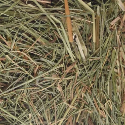 Knaagdieren Voeding|ohgreen Berghooi met brandnetel 500gr