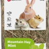 Knaagdieren Voeding|ohgreen Berghooi met munt 500gr.