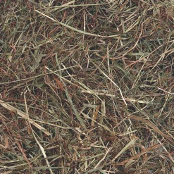 Knaagdieren Voeding|ohgreen Berghooi met munt 500gr.