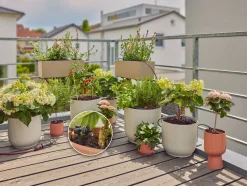 Bewatering|Ecocheques|ohgreen Bewatering Balkon Set