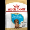 Werelddierendag|Hond Voeding|ohgreen Bhn dachshund puppy 1.5kg