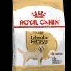 Hond Voeding|Werelddierendag|ohgreen Bhn labrador retriever 12kg