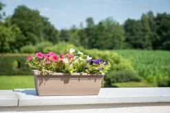 Kunststof|Ecocheques|ohgreen Bloembak relax 60cm taupe