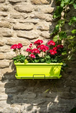 Kunststof|Ecocheques|ohgreen Bloembak relax 50x20h16 lime