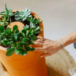 Compostvat|Ecocheques|ohgreen Bloemen composter 2 lagen