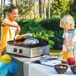 Accessoires En Onderhoud|ohgreen Boek Incroyable plancha LAROUSSE
