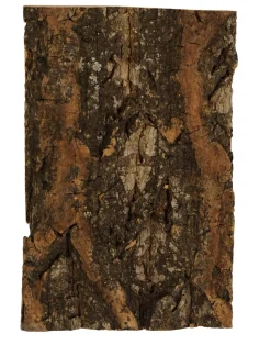Lemax Kerstdorpen|ohgreen Boomschors kurk 12x18cm