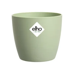 Ecocheques|Potten En Vazen|ohgreen Brussels rond