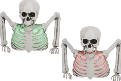 Halloween|Sfeermakers|ohgreen Buste skeleton