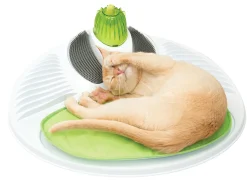 Speelgoed|ohgreen Ca 2.0 wellness center