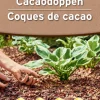 Bodemverbetering|Ecocheques|ohgreen Cacaodoppen 40l