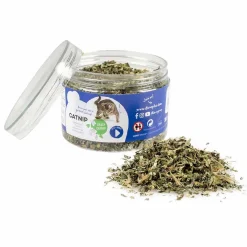 Speelgoed|ohgreen Catnip kruid