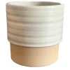 Potten En Vazen|ohgreen Cellos pot dusty