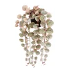Sfeermakers|ohgreen Ceropegia woodii hangend in pot - l46xb12xh10cm