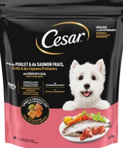 Hond Voeding|ohgreen Cesar droogvoer kip zalm 1,4kg
