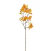 Sfeermakers|Herfst|ohgreen Cornus tak