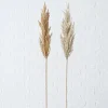 Sfeermakers|ohgreen Decoratietak