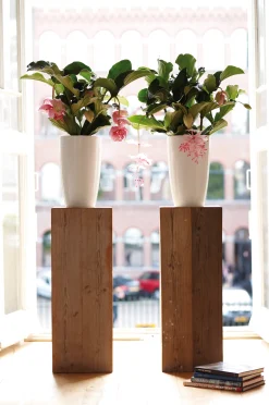 Ecocheques|Potten En Vazen|ohgreen Diamond hoog 32cm