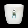 Ecocheques|Potten En Vazen|ohgreen Diamond orchidee 12,5cm