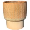 Potten En Vazen|ohgreen Dodo Pot