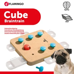 Speelgoed|ohgreen Doggy brain train cube 32x32x5cm