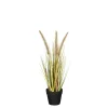 Sfeermakers|ohgreen Dogtail in pot bruin - h40xd15cm