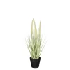Sfeermakers|ohgreen Dogtail in pot groen - h40xd15cm