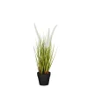 Sfeermakers|ohgreen Dogtail in pot wit - h40xd15cm