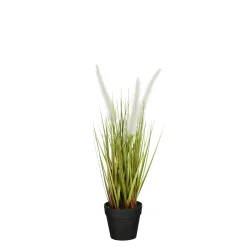 Sfeermakers|ohgreen Dogtail in pot wit - h40xd15cm