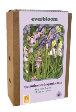 Ecocheques|Bloembollen|ohgreen Doos 'everbloom' met 25 bloembollen hyacinthoides hisp. mix