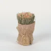 Sfeermakers|ohgreen Droogbloemen